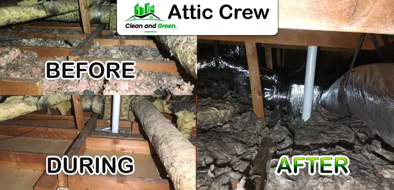 Insulation replacement: before and after photos from an Attic Crew job