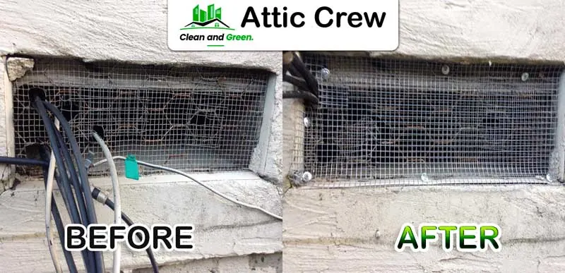 Rodent proofing: before and after photos from an Attic Crew job