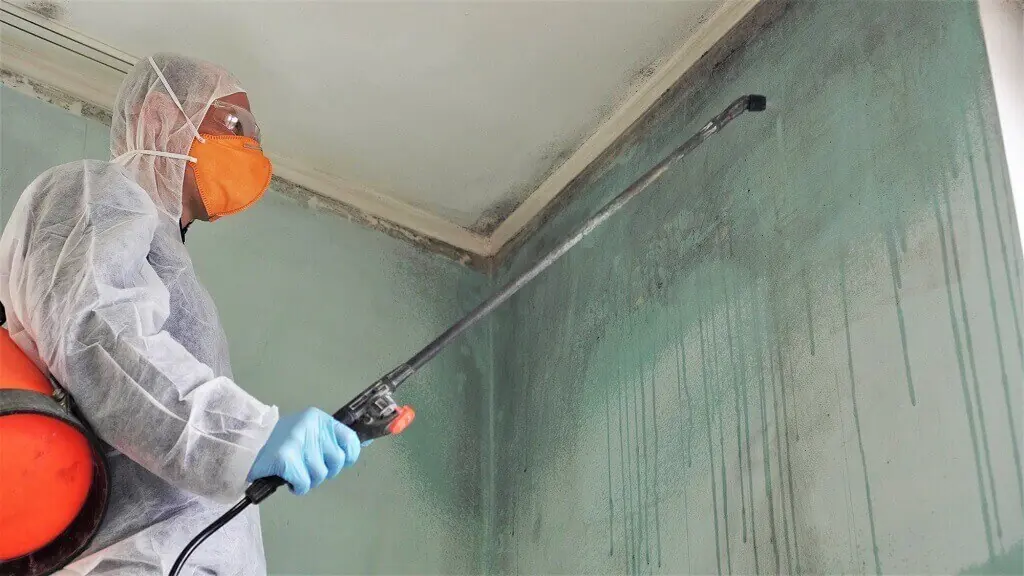 The Potential of Hidden Mold Exposure
