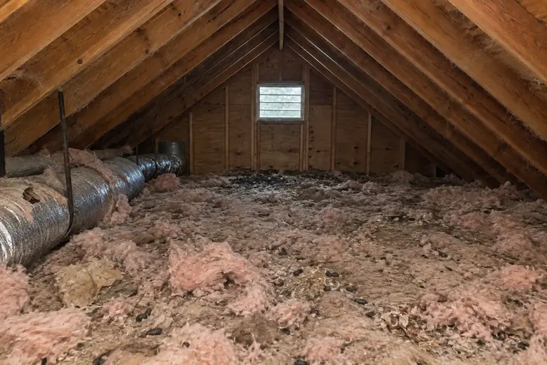 Attic cleanup in a Seattle Craftsman bungalow attic, before: Rodent droppings and debris heavily contaminate the attic insulation floor near the vent, showing the need for professional Attic Cleanup.