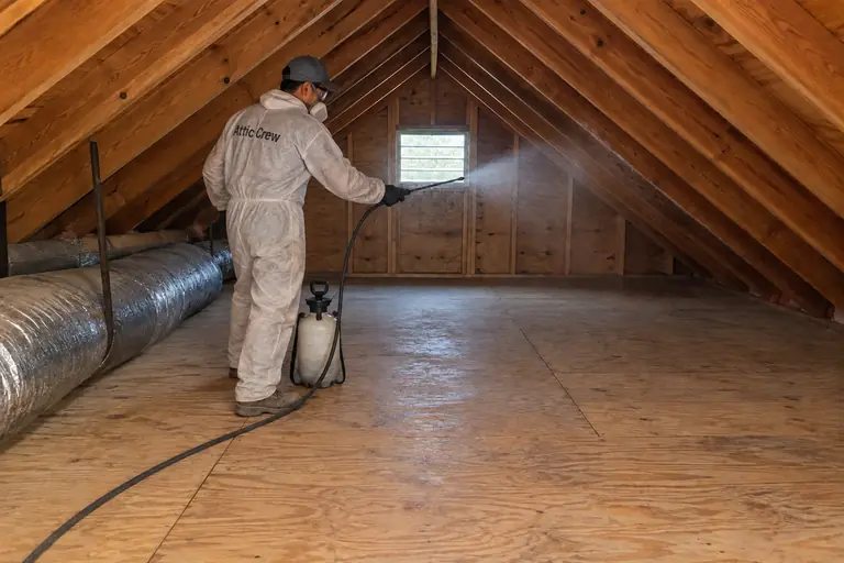 Attic cleanup in a Seattle Craftsman bungalow attic, in progress: A technician applies antimicrobial treatment to sanitize and prevent mold growth after debris and insulation removal.