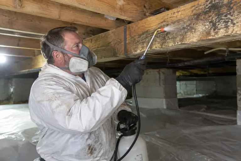 A technician sprays antimicrobial solution on moldy joists in a crawl space.