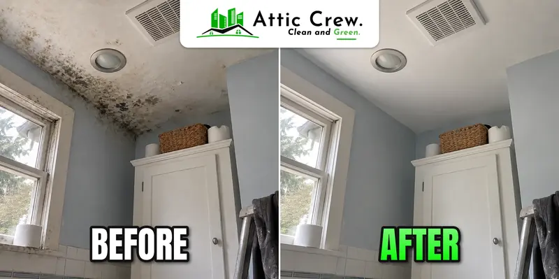 Bathroom ceiling mold repaired: before and after