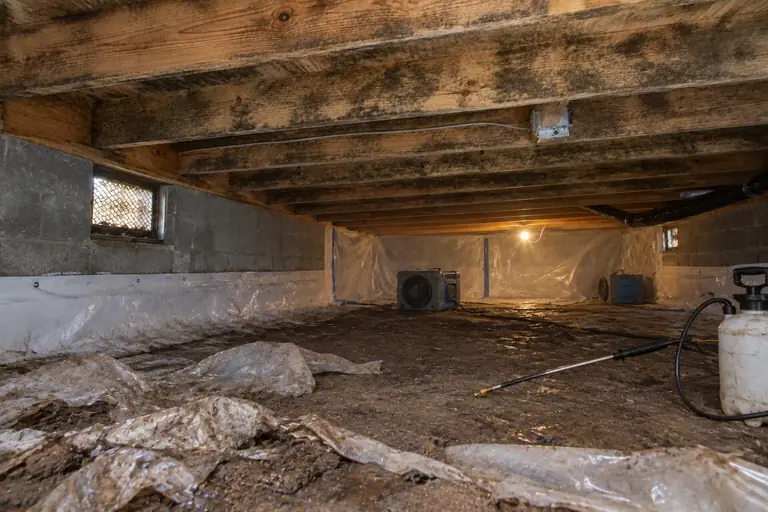 Mold remediation in Tacoma crawl space, in progress: A technician actively applies antimicrobial treatment to the mold-infested joists and sheathing.