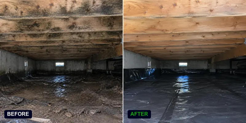 Mold remediation in Tacoma crawl space: before and after