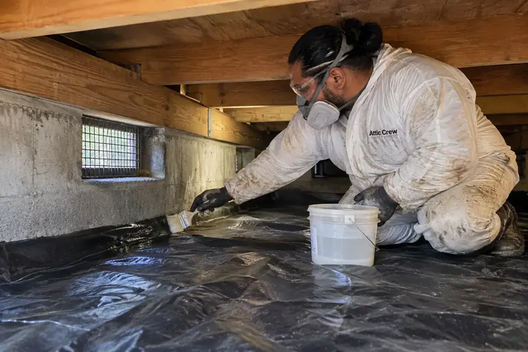 Musty crawl space treated for mold, after: A technician applies a professional mold-sealing compound to the treated surfaces to prevent future mold growth and restore dryness.