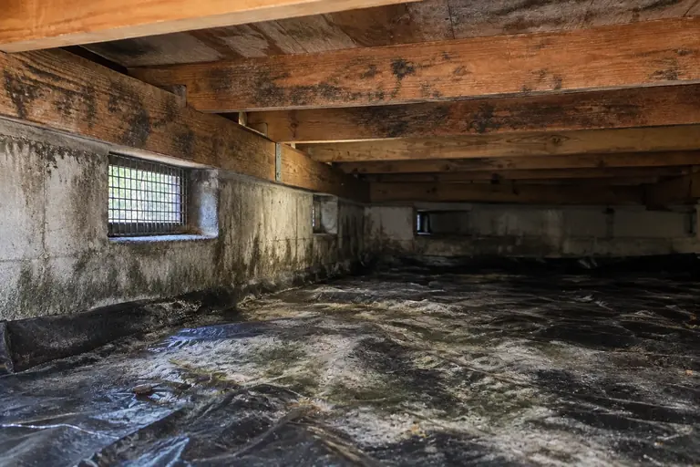 Musty crawl space treated for mold, before: The crawl space shows heavy mold growth on the black moisture barrier and wooden structural members near the vent, creating a musty environment.
