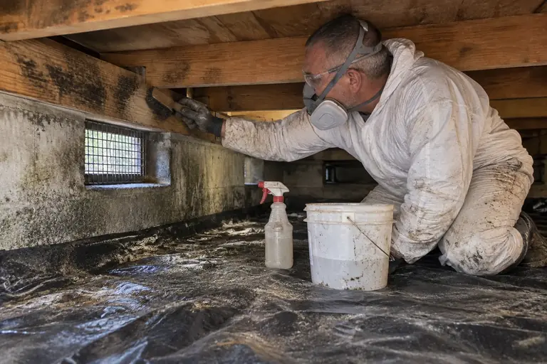 Musty crawl space treated for mold, in progress: A technician carefully scrubs mold from the sill plate and joists, working methodically to remove contamination and prepare surfaces for sealing.