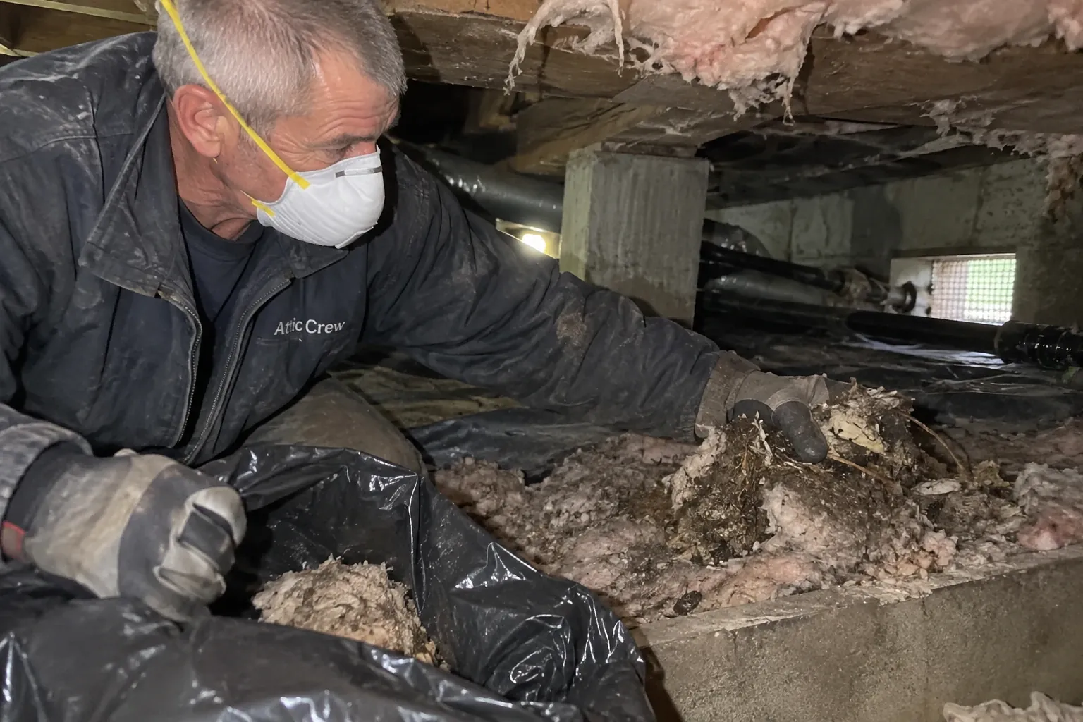 A technician bags nesting material in a crawl space.
