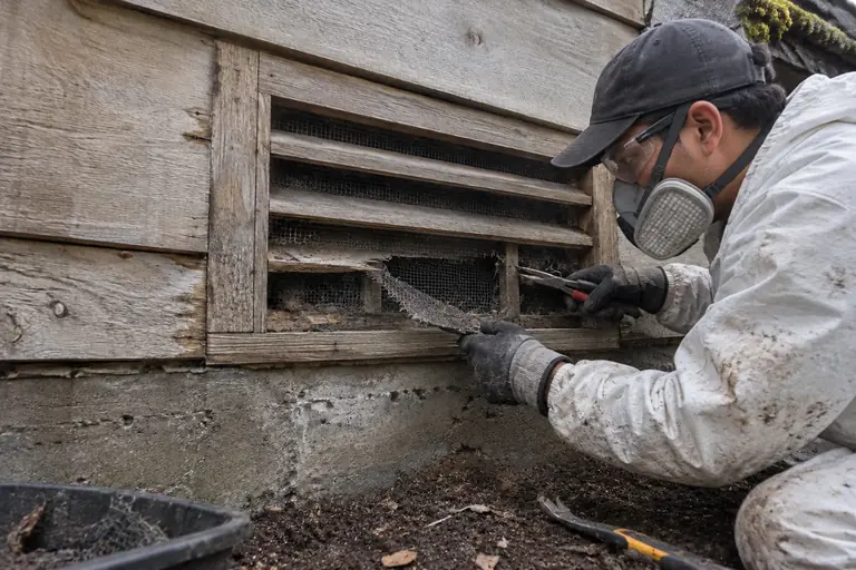 Foundation vent rebuild and screening, in progress: A technician carefully removes the damaged mesh and preps the vent frame to install a new rodent-proof screen.