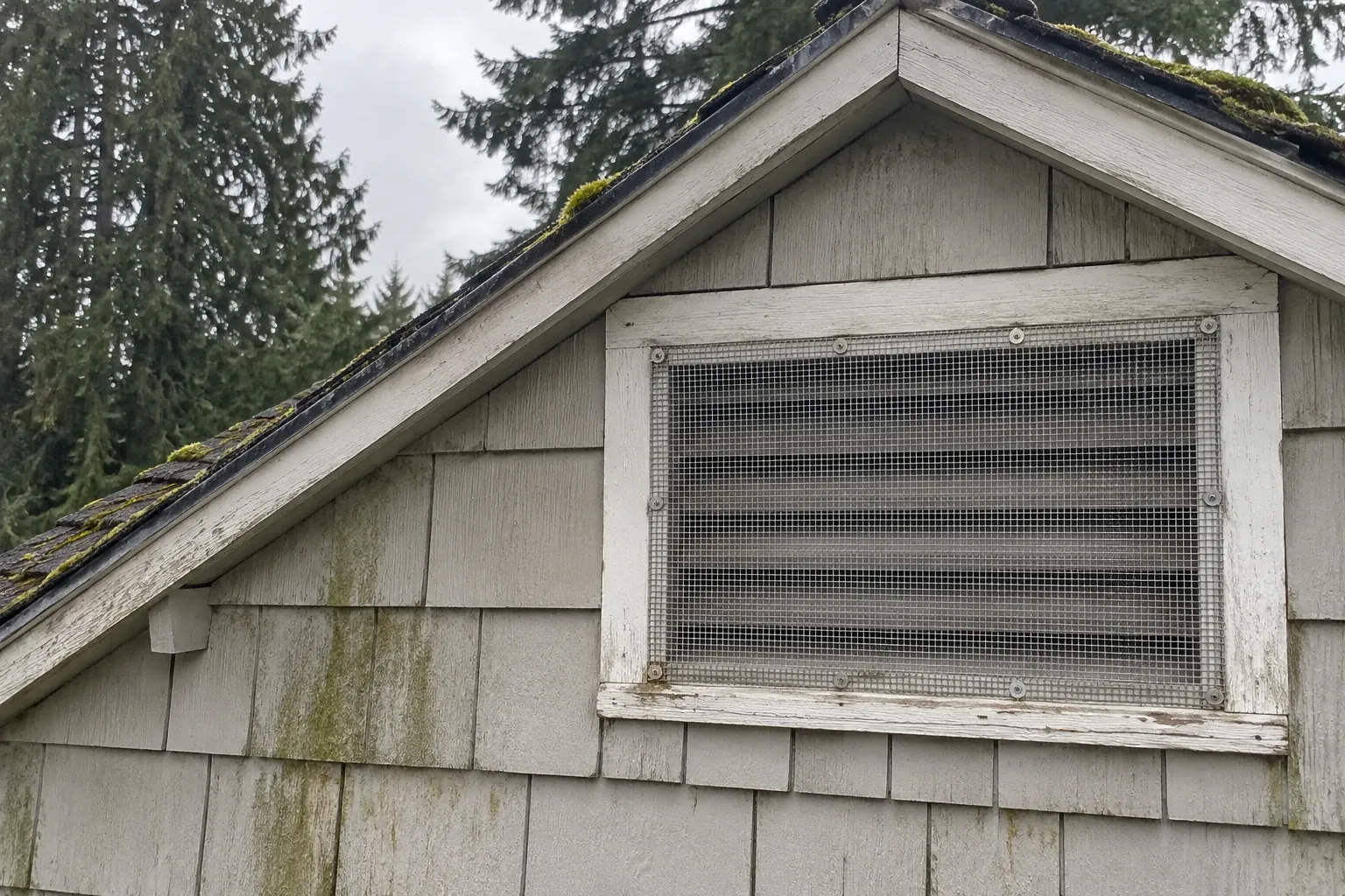After: The finished rodent-proofing job shows a new stainless steel mesh screen installed, fully sealing the gable vent against pests.