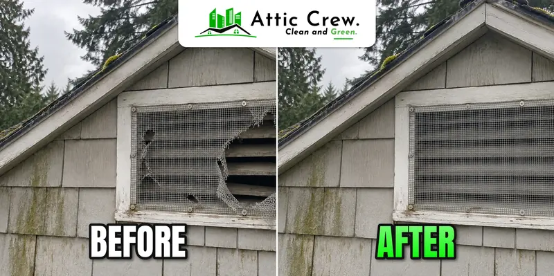 Gable vent screen replacement: before and after