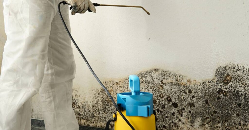 mold removal